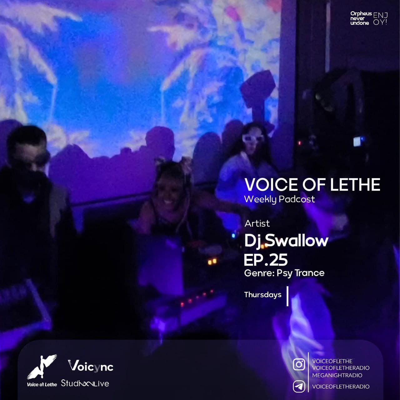 Dj SwallowPsy #25